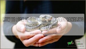 how to pick up a ball python