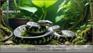 husbandry issues husbandry issues