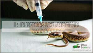im injections like ampicillin
