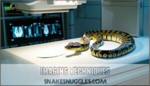 imaging techniques