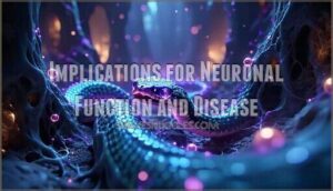 implications for neuronal function and disease
