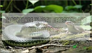 importance in prey detection and identification