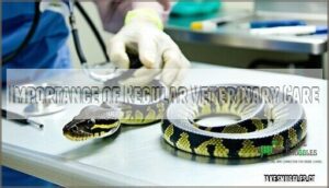 importance of regular veterinary care