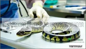 importance of regular veterinary care importance of regular veterinary care