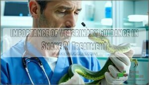 importance of veterinary guidance in snake ri treatment