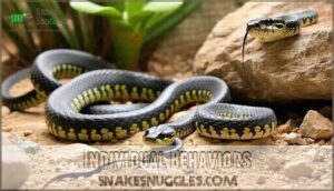 individual behaviors