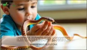 initial handling sessions initial handling sessions