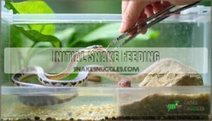 initial snake feeding