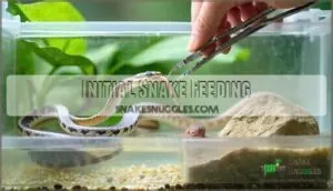initial snake feeding initial snake feeding