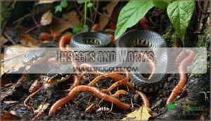 insects and worms