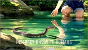 interactions with humans
