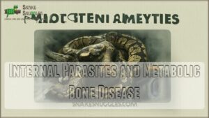 internal parasites and metabolic bone disease