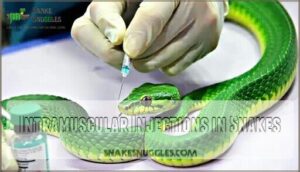 intramuscular injections in snakes