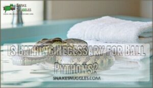is bathing necessary for ball pythons