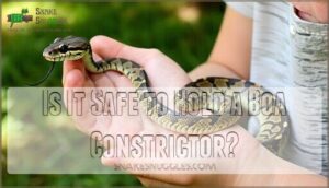 is it safe to hold a boa constrictor
