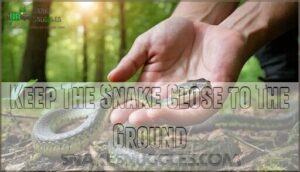 keep the snake close to the ground