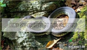 king snake habitat and behavior