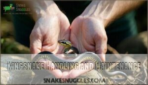 kingsnake handling and maintenance