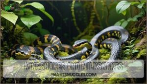 kingsnakes and milksnakes