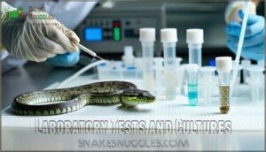 laboratory tests and cultures
