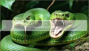 legality and ethics legality and ethics