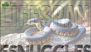 lifespan