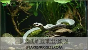 lighting requirements lighting requirements