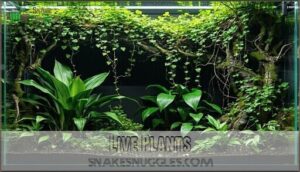 live plants