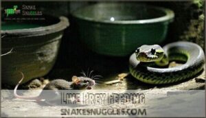 live prey feeding