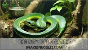longevity considerations