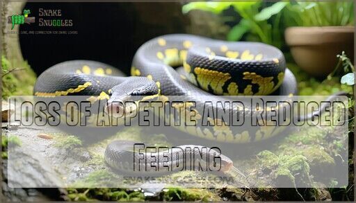 Signs Your Snake is Gravid: 7 Key Indicators Every Owner Needs