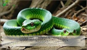 loss of muscle control
