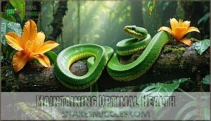 maintaining optimal health