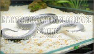 maintenance and care of snake bedding