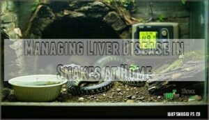managing liver disease in snakes at home