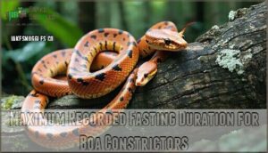 maximum recorded fasting duration for boa constrictors