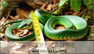 measuring snake length