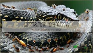 mites and parasites