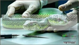 monitoring for signs of illness or injury