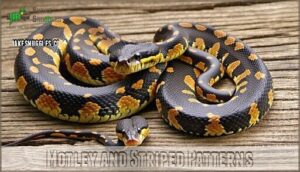 motley and striped patterns