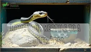 move your reptile to a cooler area move your reptile to a cooler area