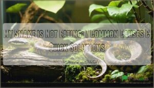 my snake is not eating
