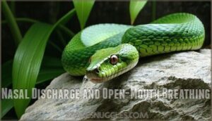 nasal discharge and open-mouth breathing