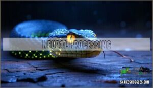 neural processing