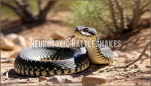 neurotoxic rattlesnakes