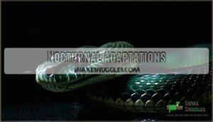 nocturnal adaptations