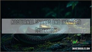 nocturnal snakes and infrared detection