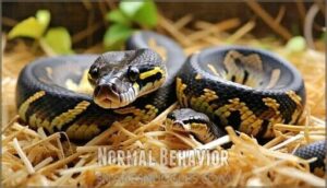 normal behavior