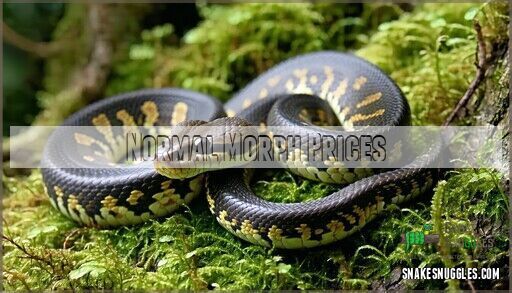 Ball Python Cost of Ownership: Complete 2025 Price Breakdown