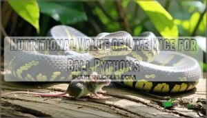 nutritional value of live mice for ball pythons